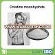 High quality pure Raw material powder creatine raw powder Creatine monohydrate powder