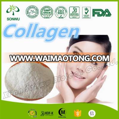 Collagen Protein/Collagen Peptide Powder/Pharmaceutical Grade Collagen